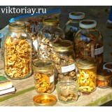 Маринованные грибы лисички: 3000 грамм